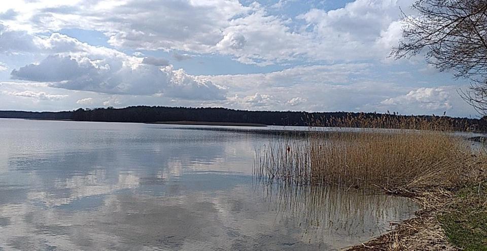 Cztery Pory Warmii Pluski Pokoje Do Wynajecia Apartment Exterior foto