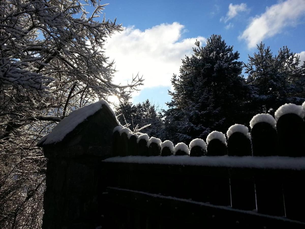 Cztery Pory Warmii Pluski Pokoje Do Wynajecia Apartment Exterior foto