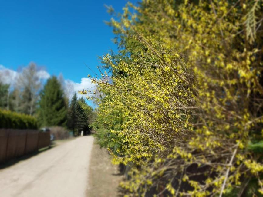 Cztery Pory Warmii Pluski Pokoje Do Wynajecia Apartment Exterior foto