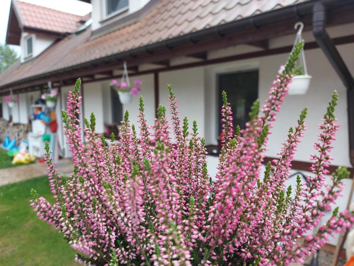 Cztery Pory Warmii Pluski Pokoje Do Wynajecia Apartment Exterior foto